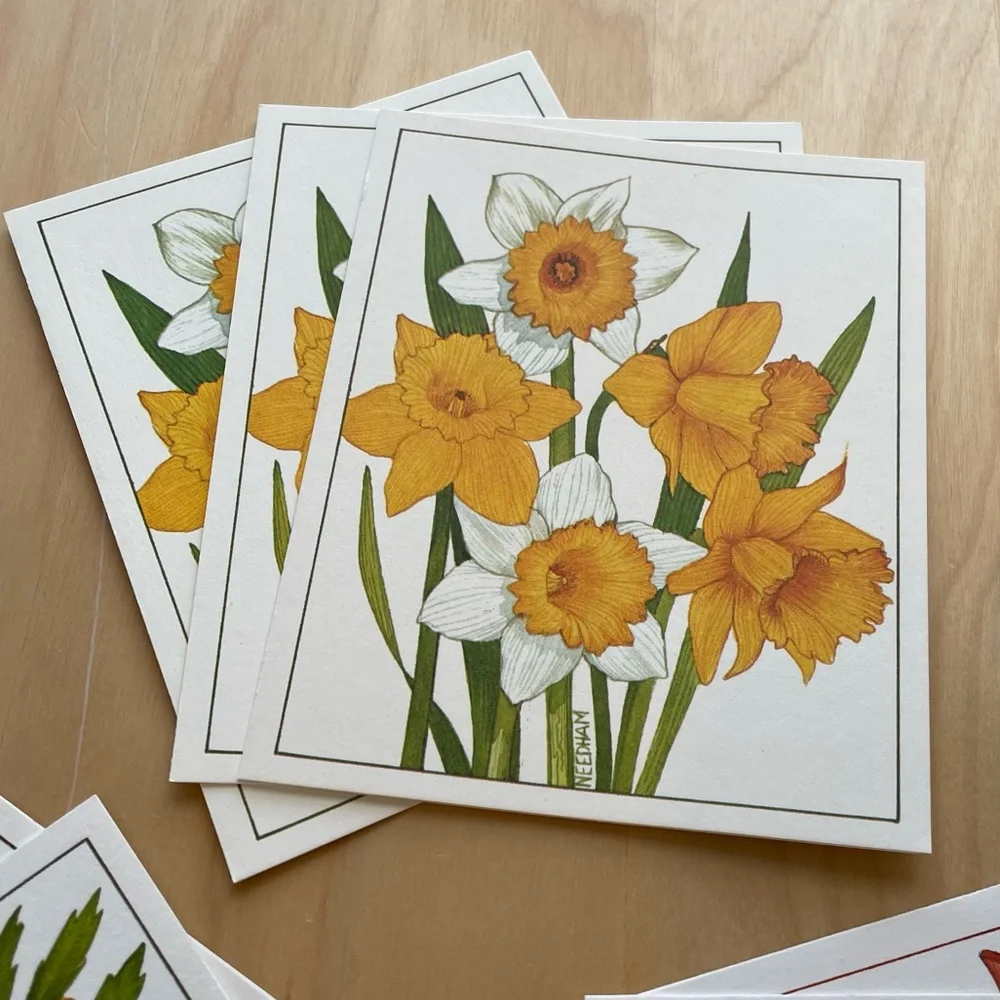 Vintage Stationery by Current Garden Glory 4 Floral Designs w Envelopes 1979